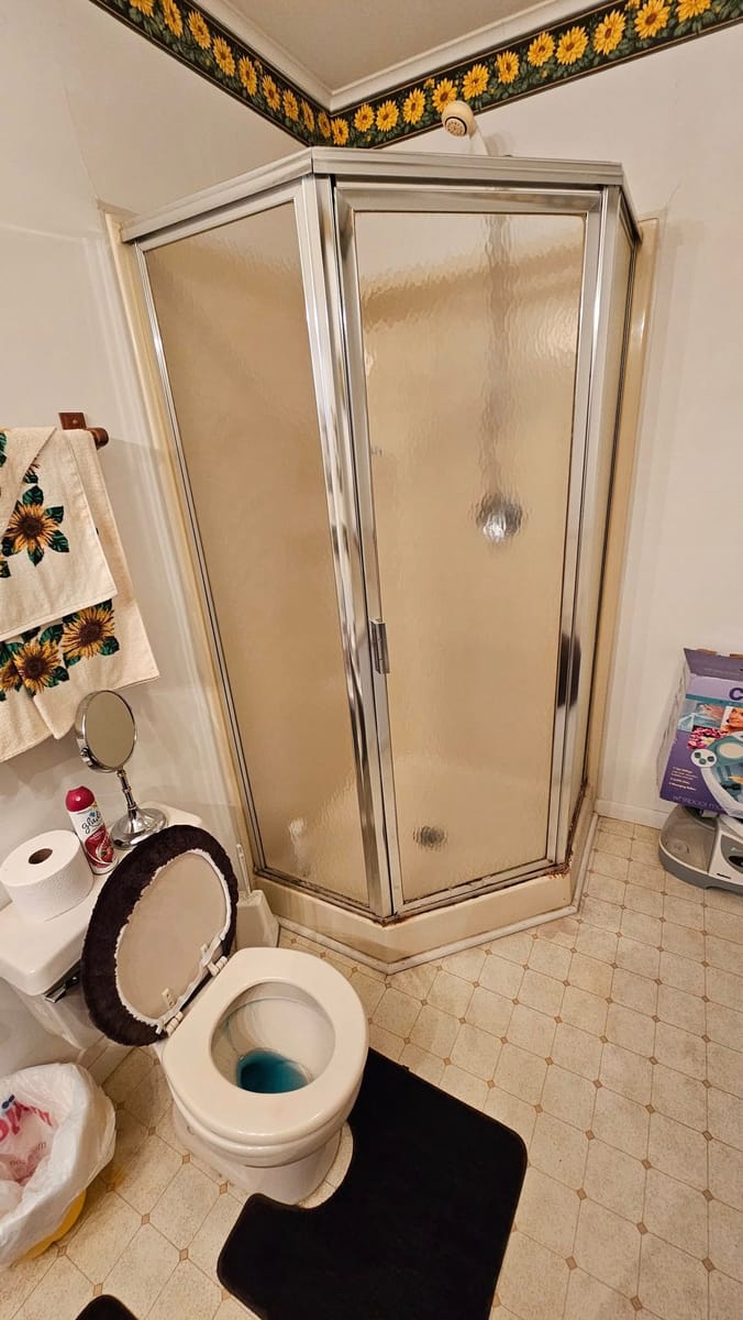Bathroom Remodel — Vanity & Floor — before